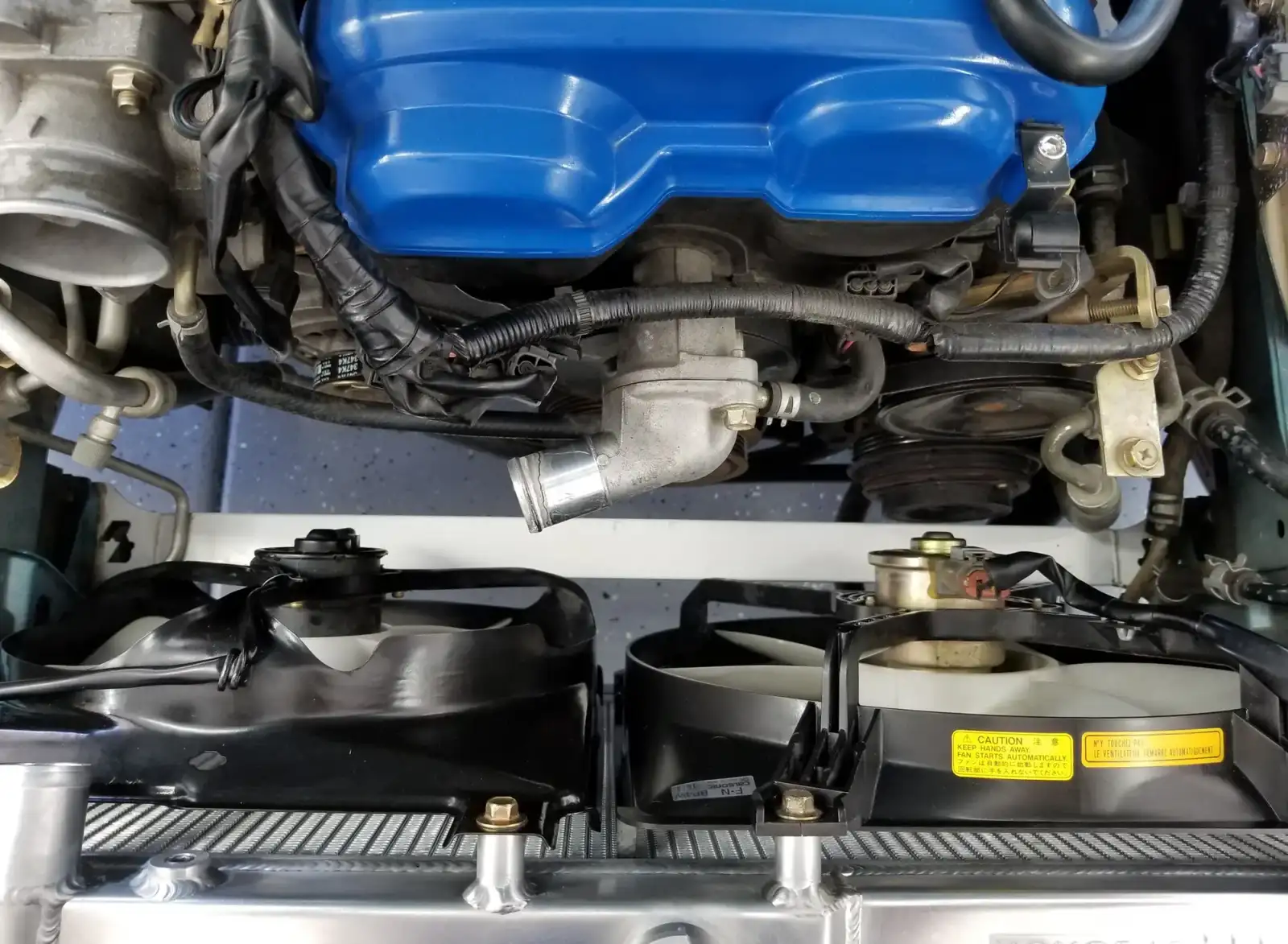 Car engine bay with radiator fans and blue valve cover. Southwest Muffler & Brake, Stafford and Houston.